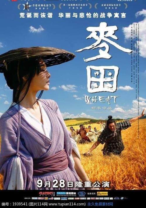 办假的得克萨斯州